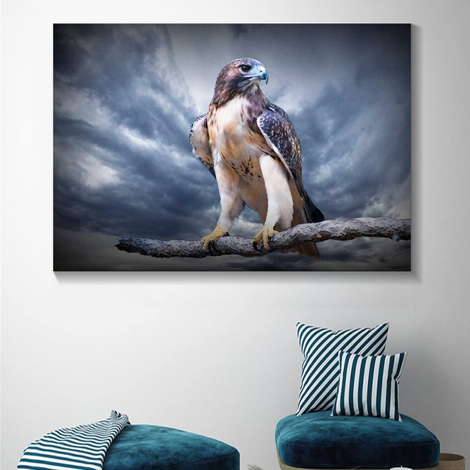 Amazon.com: Red-Tail Hawk Bird Photograph Canvas Poster And Wall